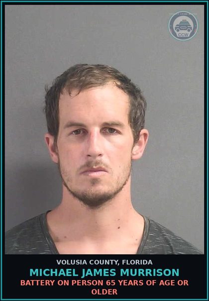 CCW arrest card for MICHAEL JAMES MURRISON in Volusia County: BATTERY ON PERSON 65 YEARS OF AGE OR OLDER