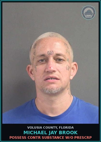 CCW arrest card for MICHAEL JAY BROOK in Volusia County: POSSESS CONTR SUBSTANCE W/O PRESCRP