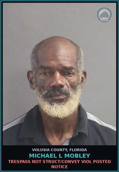 CCW arrest card for MICHAEL L MOBLEY in Volusia County: TRESPASS NOT STRUCT/CONVEY VIOL POSTED NOTICE