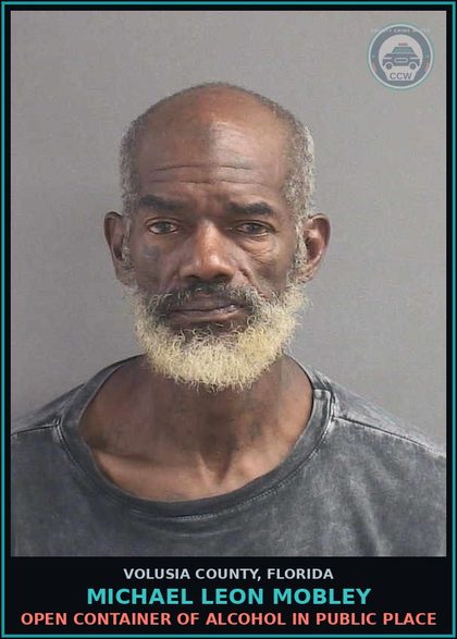 CCW arrest card for MICHAEL LEON MOBLEY in Volusia County: OPEN CONTAINER OF ALCOHOL IN PUBLIC PLACE