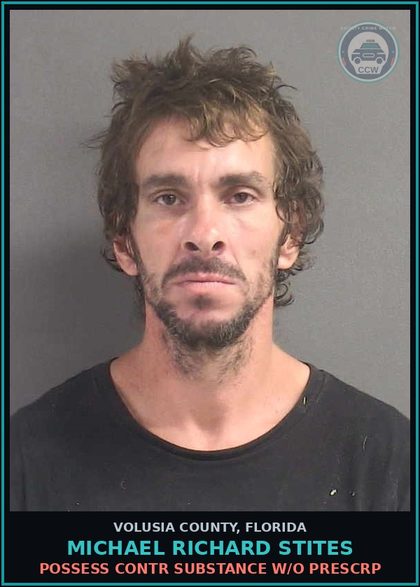 CCW arrest card for MICHAEL RICHARD STITES in Volusia County: POSSESS CONTR SUBSTANCE W/O PRESCRP