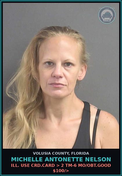 CCW arrest card for MICHELLE ANTONETTE NELSON in Volusia County: ILL. USE CRD.CARD > 2 TM-6 MO/OBT.GOOD $100/>