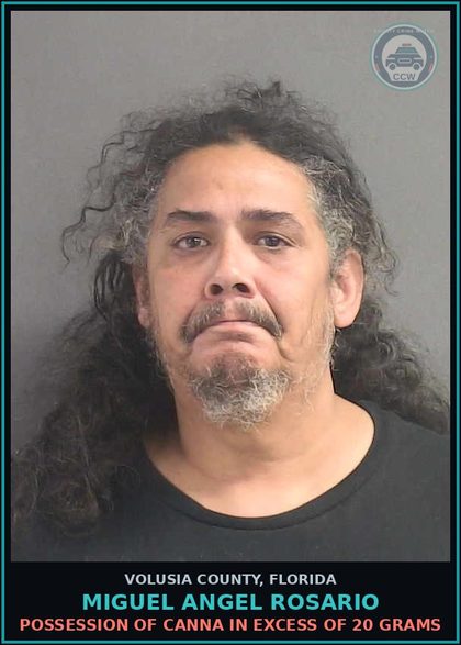CCW arrest card for MIGUEL ANGEL ROSARIO in Volusia County: POSSESSION OF CANNA IN EXCESS OF 20 GRAMS