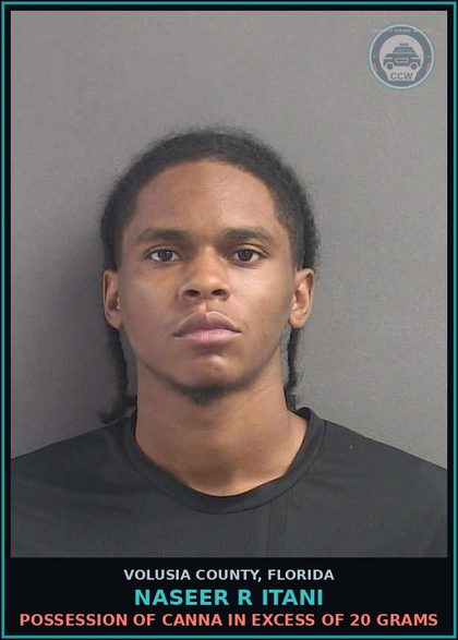 CCW arrest card for NASEER R ITANI in Volusia County: OBSTRUCT OFFICER WITHOUT VIOLENCE