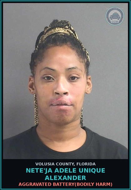 CCW arrest card for NETE'JA ADELE UNIQUE ALEXANDER in Volusia County: BATTERY ON PERSON 65 YEARS OF AGE OR OLDER