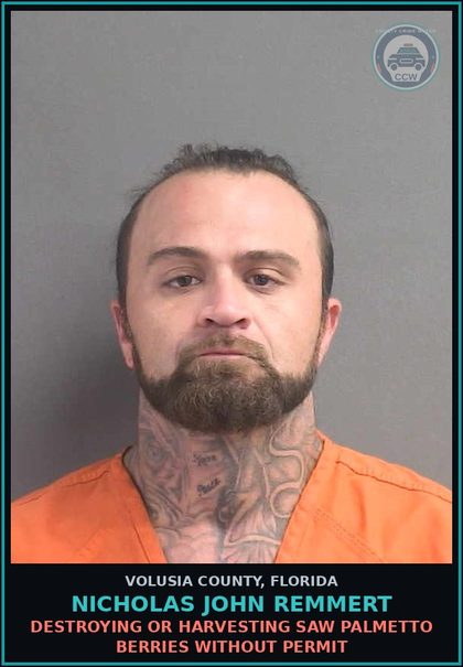 CCW arrest card for NICHOLAS JOHN REMMERT in Volusia County: DESTROYING OR HARVESTING SAW PALMETTO BERRIES WITHOUT PERMIT