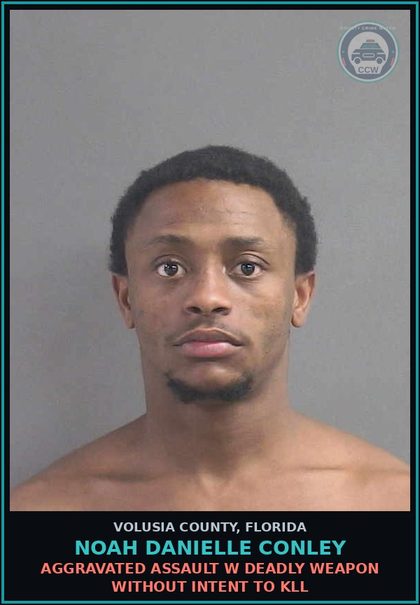 CCW arrest card for NOAH DANIELLE CONLEY in Volusia County: COMMIT DOMESTIC BATTERY BY STRANGULATION