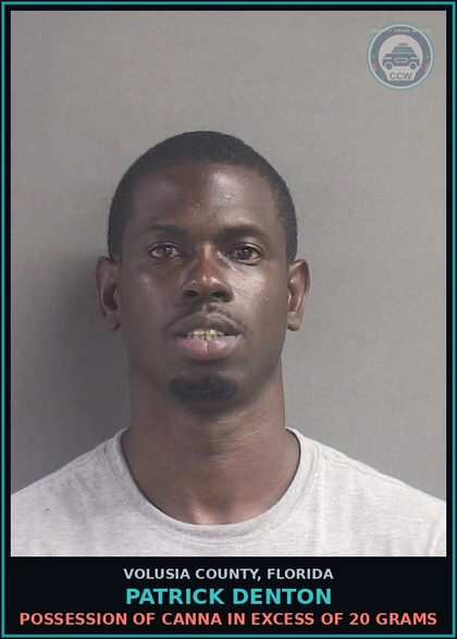 CCW arrest card for PATRICK DENTON in Volusia County: POSSESSION OF CANNA IN EXCESS OF 20 GRAMS