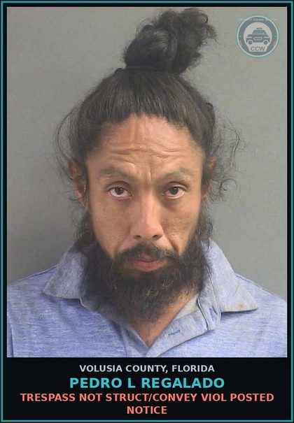 CCW arrest card for PEDRO L REGALADO in Volusia County: TRESPASS NOT STRUCT/CONVEY VIOL POSTED NOTICE