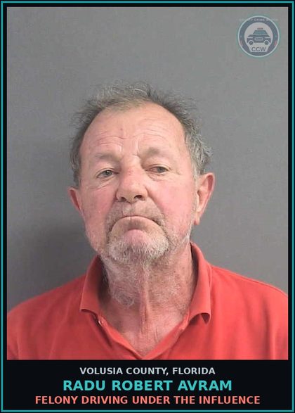 CCW arrest card for RADU ROBERT AVRAM in Volusia County: RESIST OFFICER - OBSTRUCT W/O VIOLENCE