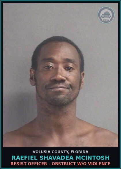 CCW arrest card for RAEFIEL SHAVADEA MCINTOSH in Volusia County: RESIST OFFICER - OBSTRUCT W/O VIOLENCE