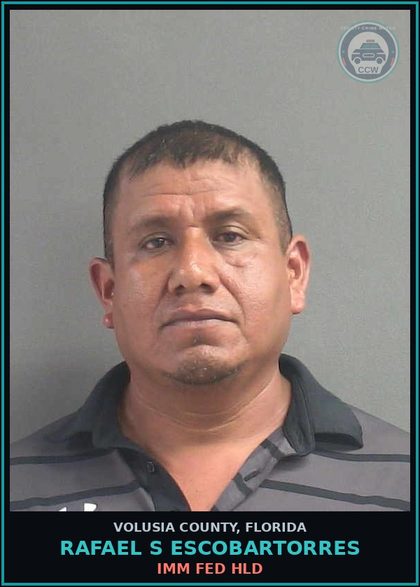 CCW arrest card for RAFAEL S ESCOBARTORRES in Volusia County: IMM FED HLD