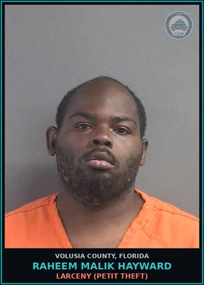 CCW arrest card for RAHEEM MALIK HAYWARD in Volusia County: RESIST OFFICER - OBSTRUCT W/O VIOLENCE