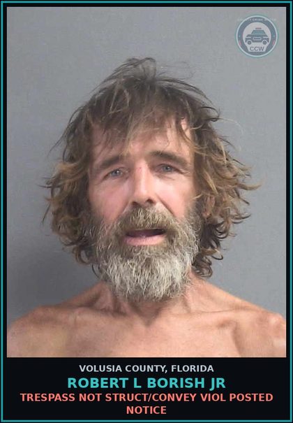 CCW arrest card for ROBERT L BORISH JR in Volusia County: TRESPASS NOT STRUCT/CONVEY VIOL POSTED NOTICE