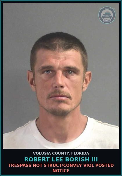 CCW arrest card for ROBERT LEE BORISH III in Volusia County: TRESPASS NOT STRUCT/CONVEY VIOL POSTED NOTICE