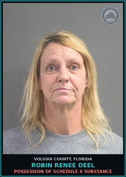 CCW arrest card for ROBIN RENEE DEEL in Volusia County: OFFER TO COMMIT SOLICITATION W/PRIOR