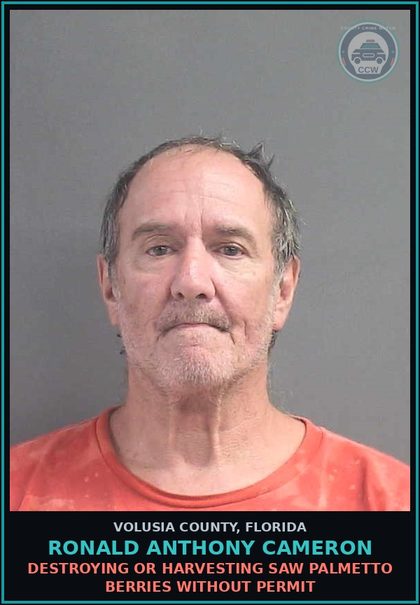 CCW arrest card for RONALD ANTHONY CAMERON in Volusia County: DESTROYING OR HARVESTING SAW PALMETTO BERRIES WITHOUT PERMIT