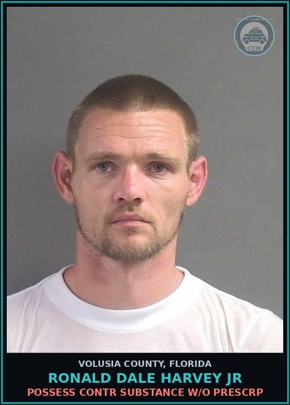 CCW arrest card for RONALD DALE HARVEY JR in Volusia County: POSSESS CONTR SUBSTANCE W/O PRESCRP