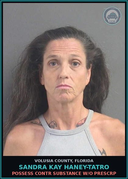 CCW arrest card for SANDRA KAY HANEY-TATRO in Volusia County: POSSESS CONTR SUBSTANCE W/O PRESCRP