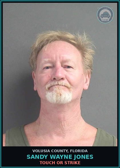 CCW arrest card for SANDY WAYNE JONES in Volusia County: TOUCH OR STRIKE