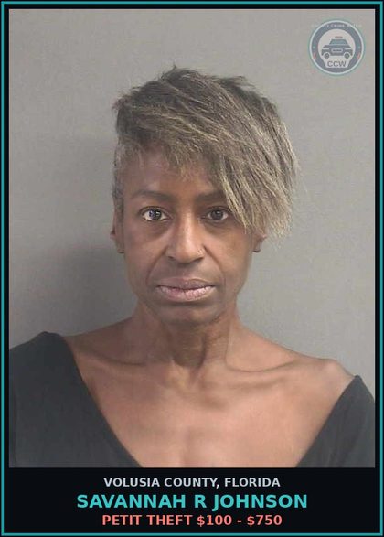 CCW arrest card for SAVANNAH R JOHNSON in Volusia County: PETIT THEFT $100 - $750