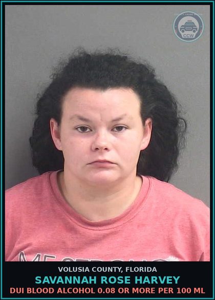 CCW arrest card for SAVANNAH ROSE HARVEY in Volusia County: NEGLECT OF A CHLD