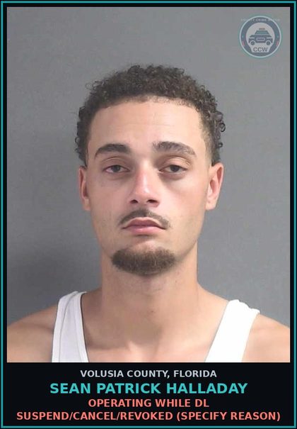 CCW arrest card for SEAN PATRICK HALLADAY in Volusia County: OPERATING WHILE DL SUSPEND/CANCEL/REVOKED (SPECIFY REASON)