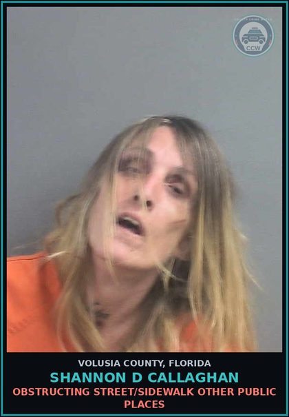 CCW arrest card for SHANNON D CALLAGHAN in Volusia County: OBSTRUCTING STREET/SIDEWALK OTHER PUBLIC PLACES