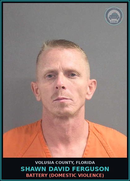 CCW arrest card for SHAWN DAVID FERGUSON in Volusia County: BATTERY (DOMESTIC VIOLENCE)