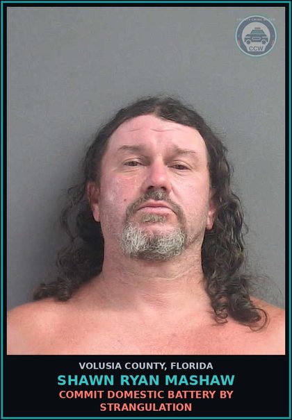 CCW arrest card for SHAWN RYAN MASHAW in Volusia County: CHLD ABUSE