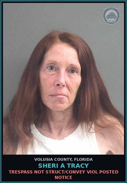 CCW arrest card for SHERI A TRACY in Volusia County: TRESPASS NOT STRUCT/CONVEY VIOL POSTED NOTICE