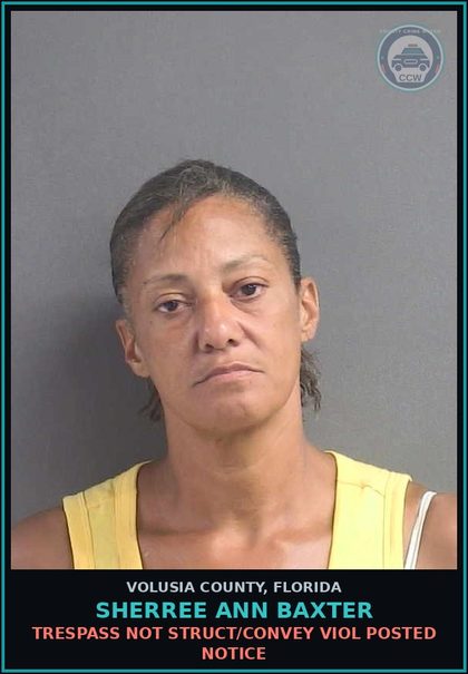 CCW arrest card for SHERREE ANN BAXTER in Volusia County: TRESPASS NOT STRUCT/CONVEY VIOL POSTED NOTICE