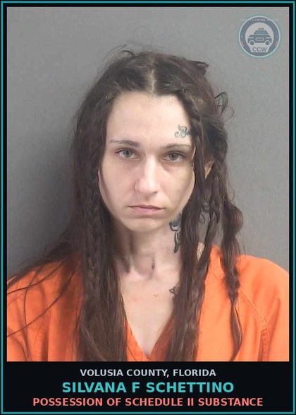 CCW arrest card for SILVANA F SCHETTINO in Volusia County: POSSESSION OF SCHEDULE II SUBSTANCE