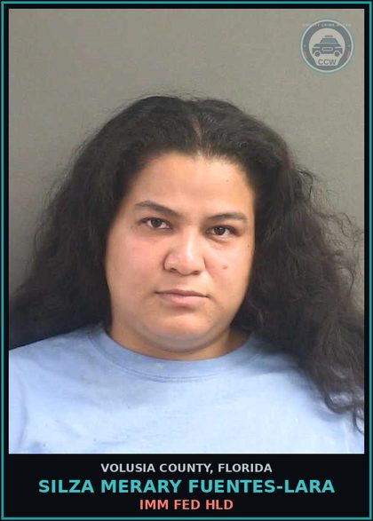 CCW arrest card for SILZA MERARY FUENTES-LARA in Volusia County: IMM FED HLD