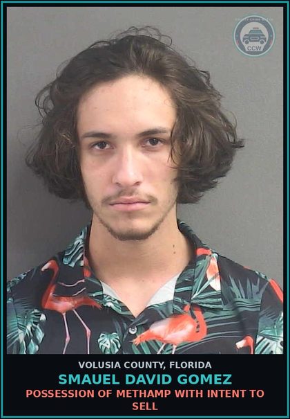 CCW arrest card for SMAUEL DAVID GOMEZ in Volusia County: POSSESSION OF METHAMP WITH INTENT TO SELL