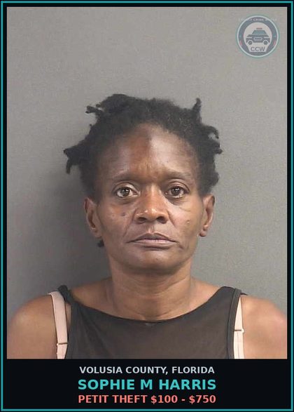 CCW arrest card for SOPHIE M HARRIS in Volusia County: RESIST OFFICER - OBSTRUCT W/O VIOLENCE