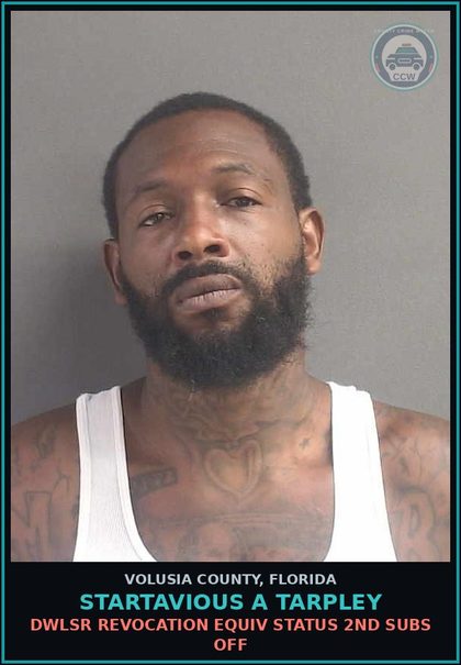 CCW arrest card for STARTAVIOUS A TARPLEY in Volusia County: DWLSR REVOCATION EQUIV STATUS 2ND SUBS OFF