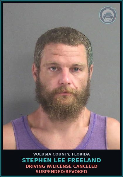 CCW arrest card for STEPHEN LEE FREELAND in Volusia County: DRIVING W/LICENSE CANCELED SUSPENDED/REVOKED
