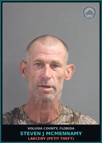 CCW arrest card for STEVEN J MCMENNAMY in Volusia County: LARCENY (PETIT THEFT)