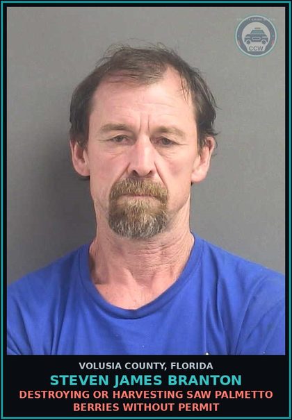 CCW arrest card for STEVEN JAMES BRANTON in Volusia County: DESTROYING OR HARVESTING SAW PALMETTO BERRIES WITHOUT PERMIT