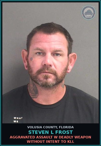 CCW arrest card for STEVEN L FROST in Volusia County: STALKING