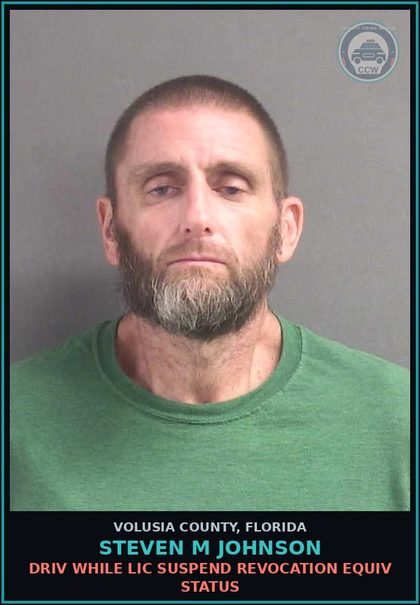 CCW arrest card for STEVEN M JOHNSON in Volusia County: DRIV WHILE LIC SUSPEND REVOCATION EQUIV STATUS
