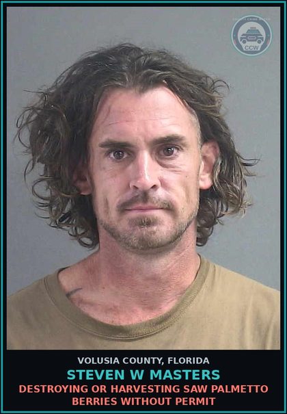 CCW arrest card for STEVEN W MASTERS in Volusia County: DESTROYING OR HARVESTING SAW PALMETTO BERRIES WITHOUT PERMIT