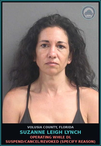 CCW arrest card for SUZANNE LEIGH LYNCH in Volusia County: OPERATING WHILE DL SUSPEND/CANCEL/REVOKED (SPECIFY REASON)
