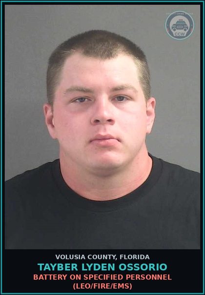 CCW arrest card for TAYBER LYDEN OSSORIO in Volusia County: BATTERY ON SPECIFIED PERSONNEL (LEO/FIRE/EMS)