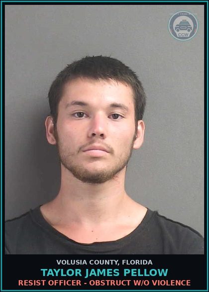 CCW arrest card for TAYLOR JAMES PELLOW in Volusia County: FLEEING OR ATTEMPTING TO ELUDE