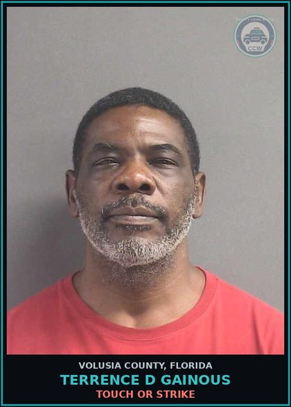 CCW arrest card for TERRENCE D GAINOUS in Volusia County: TOUCH OR STRIKE