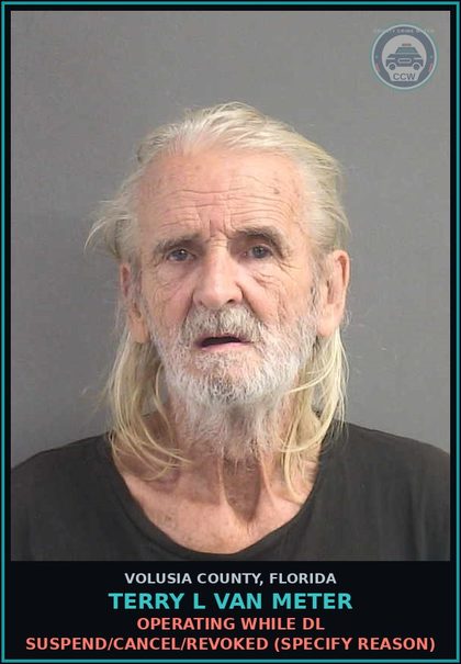 CCW arrest card for TERRY L VAN METER in Volusia County: OPERATING WHILE DL SUSPEND/CANCEL/REVOKED (SPECIFY REASON)