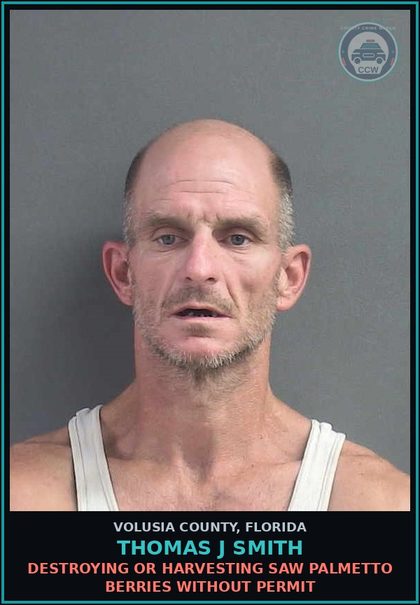 CCW arrest card for THOMAS J SMITH in Volusia County: DESTROYING OR HARVESTING SAW PALMETTO BERRIES WITHOUT PERMIT