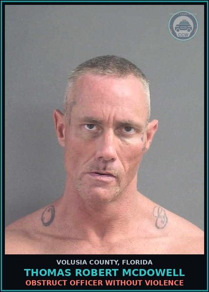 CCW arrest card for THOMAS ROBERT MCDOWELL in Volusia County: ABUSE OF AN ELDERLY PERSON OR DISABLED ADULT